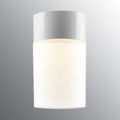 IFO Electric Opus 175 Sauna Wall or Ceiling Light