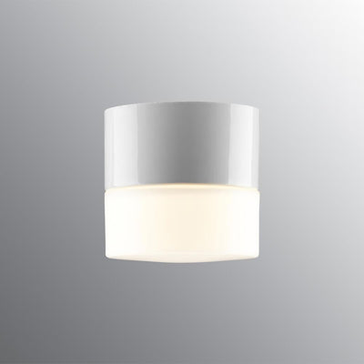IFO Electric Opus 100 Wall or Ceiling Light
