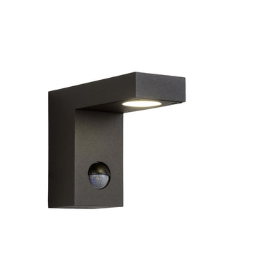 Lucide Texas-Ir Outdoor Wall Spotlight